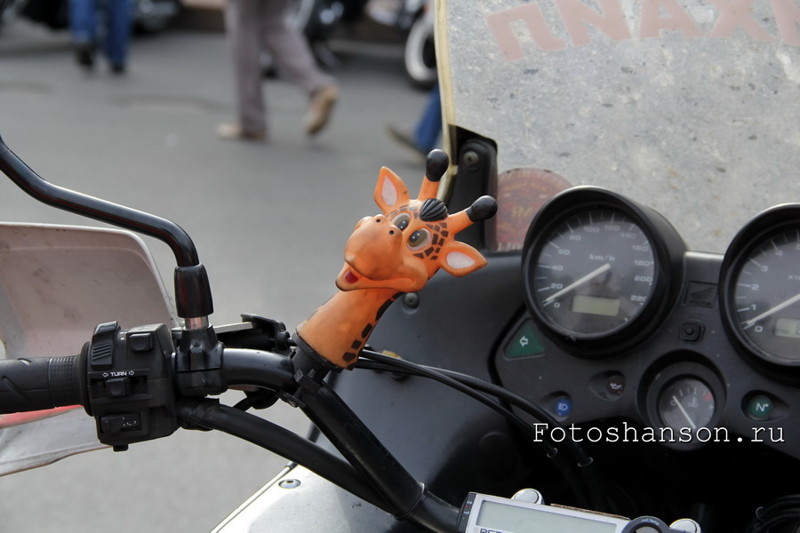 Пятый мотофестиваль St.Petersburg Harley® Days. 3-я часть