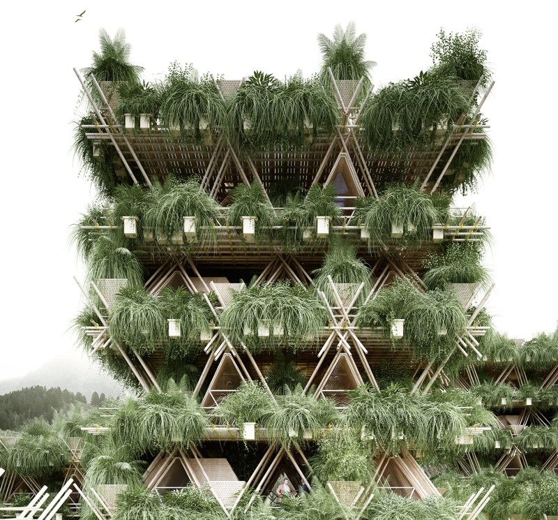 Бамбуковые дома Элоры Харди (Фото)