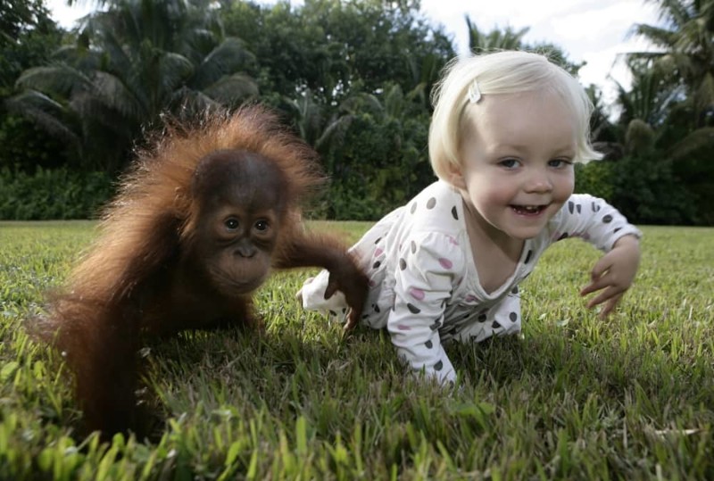 11. Примат и ребенок