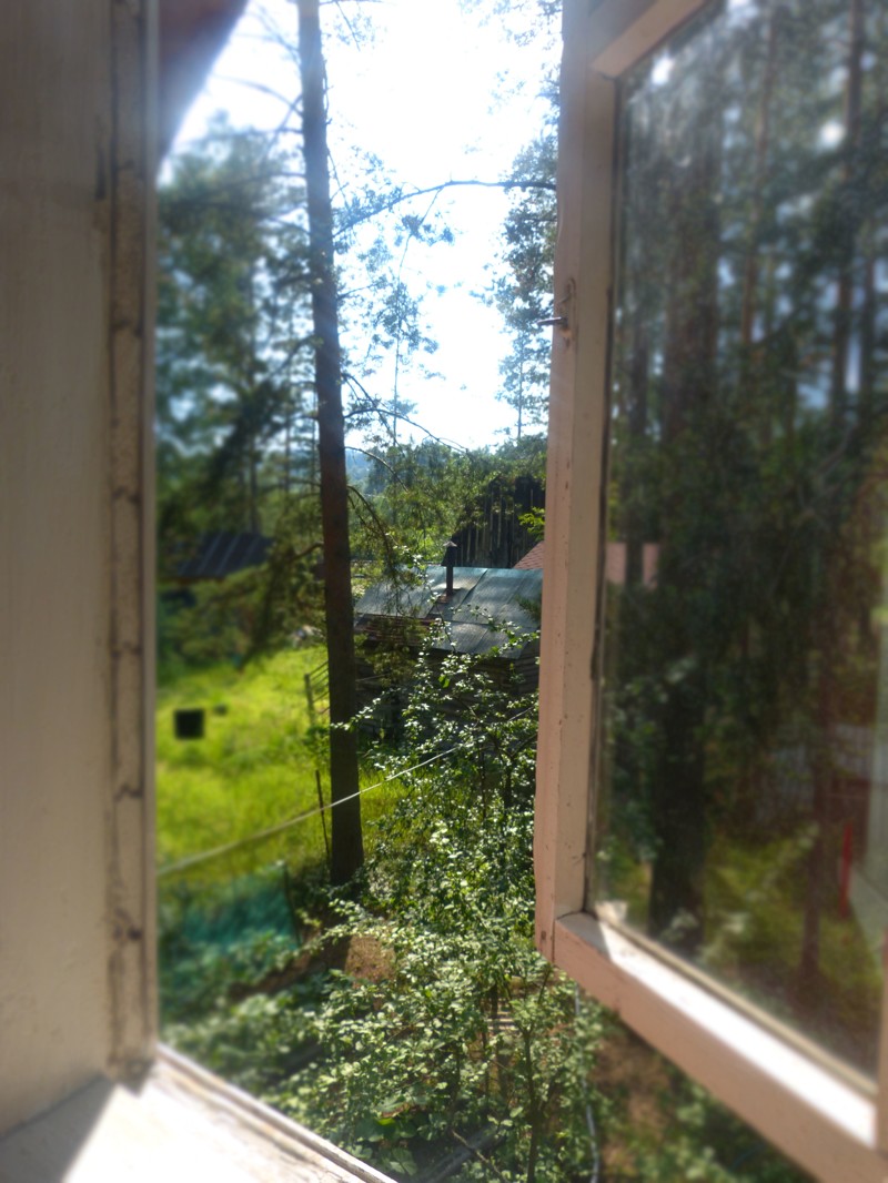 окно в сад