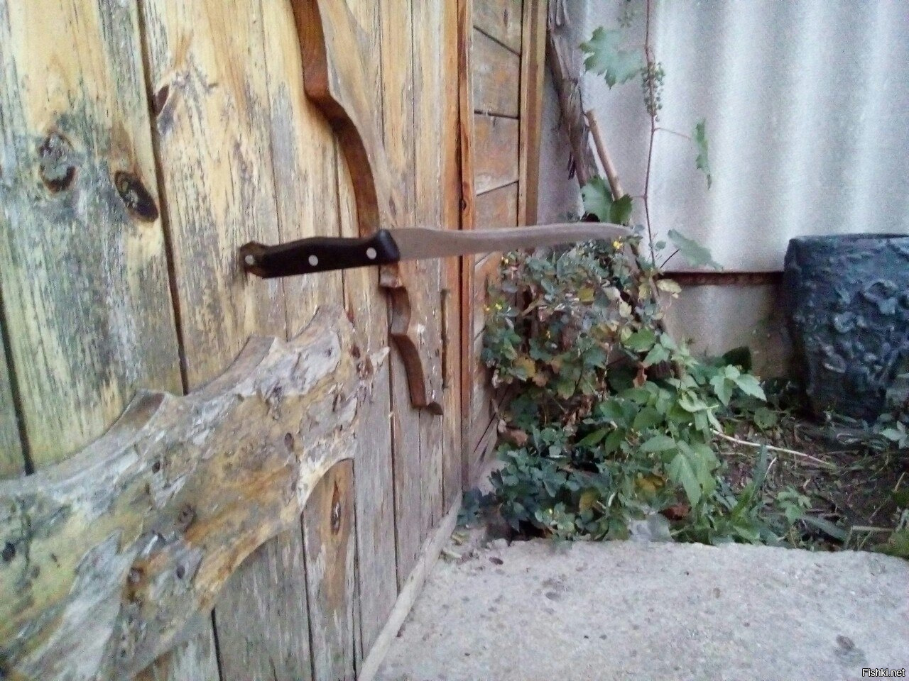 Ножи смешные картинки, форма открытках картинки