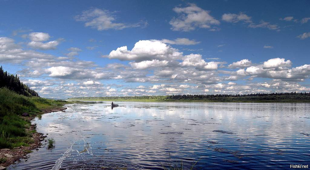Воды рек коми. Река Печора Республика Коми. Печора (река) реки Республики Коми. Озеро Печора. Печора река в Троицко-Печорске.