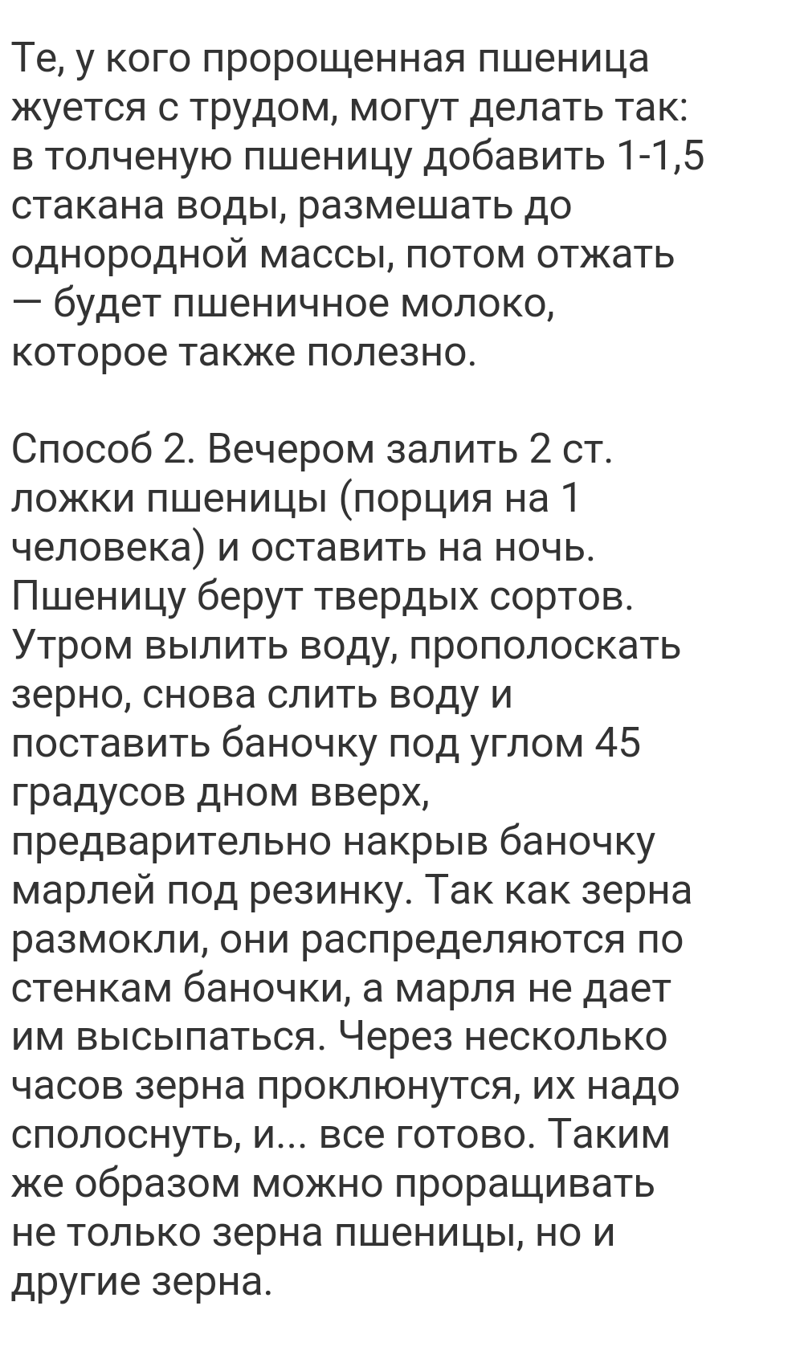 Проросшая пшеница 