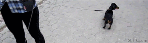 Гифки - разные темы