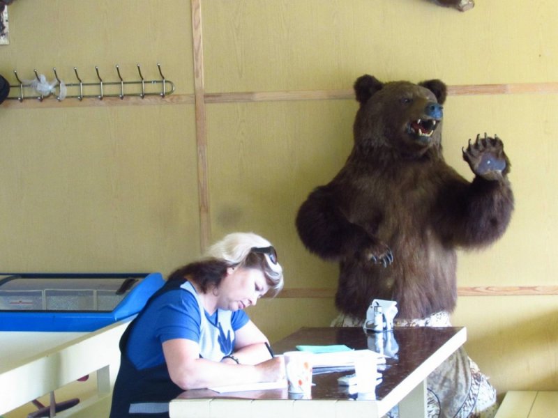 Чучело медведя в столовой 
