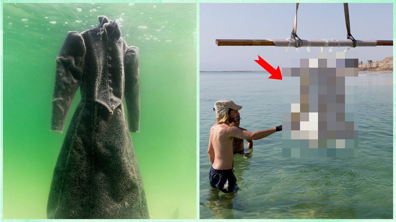 Живут ли в мертвом море рыбы
