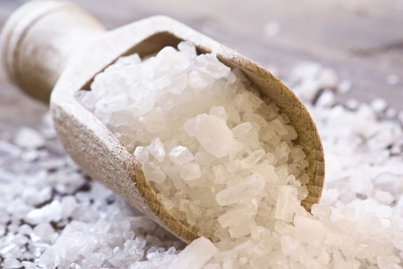 Соль,богатый микроэлементами организм,подаренный нам природой.