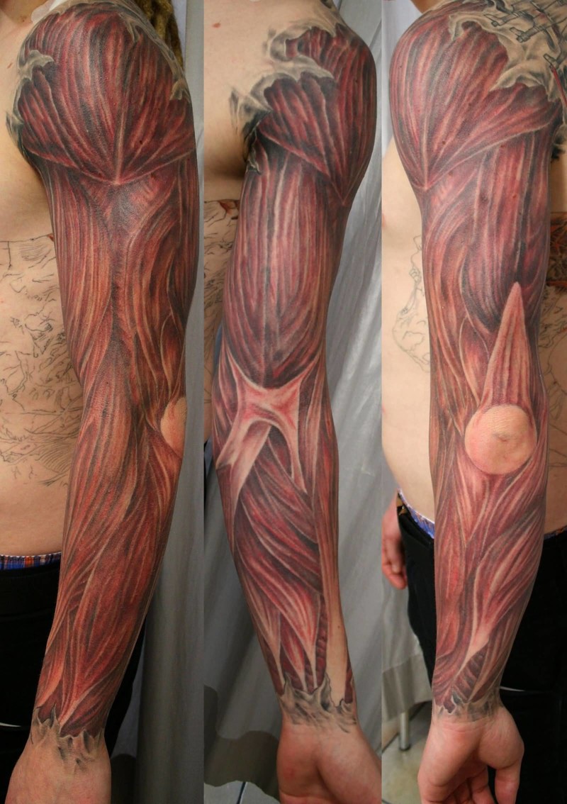 В анатомических тату тоже есть свои популярные стили. Чаще всего рисуют мышцы