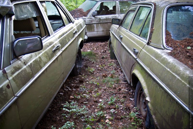 На кладбище мерсов нашли последний приют с добрый десяток моделей 240D и 300D (семейства W123 и W124). Эти автомобили выпускались c 1976 по 1984 годы и судя по слою мха на них, стоят они тут явно не первый год.