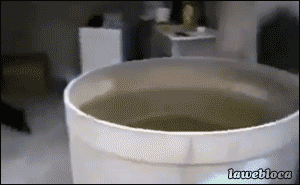 Вода - уж точно не их стихия :)