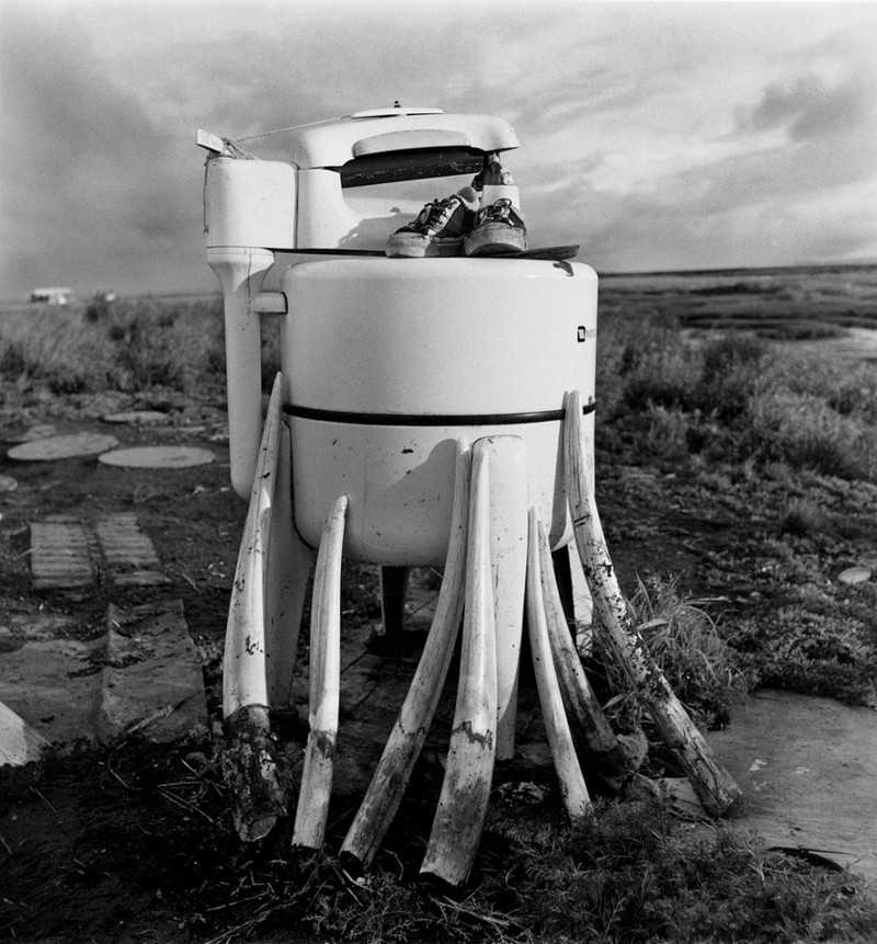 Стиральная машина Wringer и моржовые клыки, Ньюток, Аляска, июль 1977 год