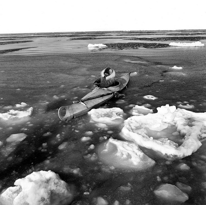 Охота на тюленей, Берингово море, Тунунак, Аляска, апрель 1975 года