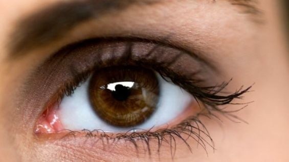 8. Розовый уголок вашего глаза (складка semilunaris), сформировался в ходе эволюционного развития: когда-то мы имели внутренние веки, как птицы и рептилии