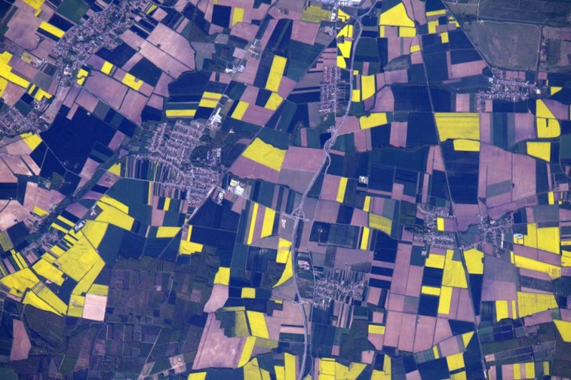 2. Ярко-желтые поля рапса в венгерском городе Сомбатхей