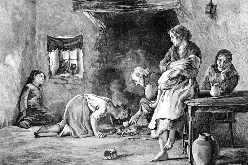 14. Ужасные условия жизни и...смерти