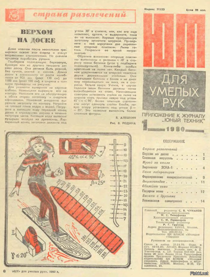 Из солянки
