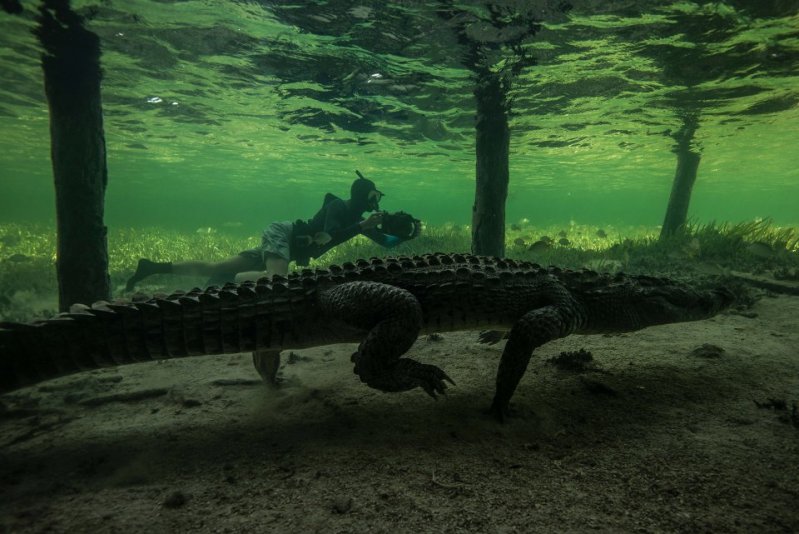 Подводная прогулка с крокодилом 