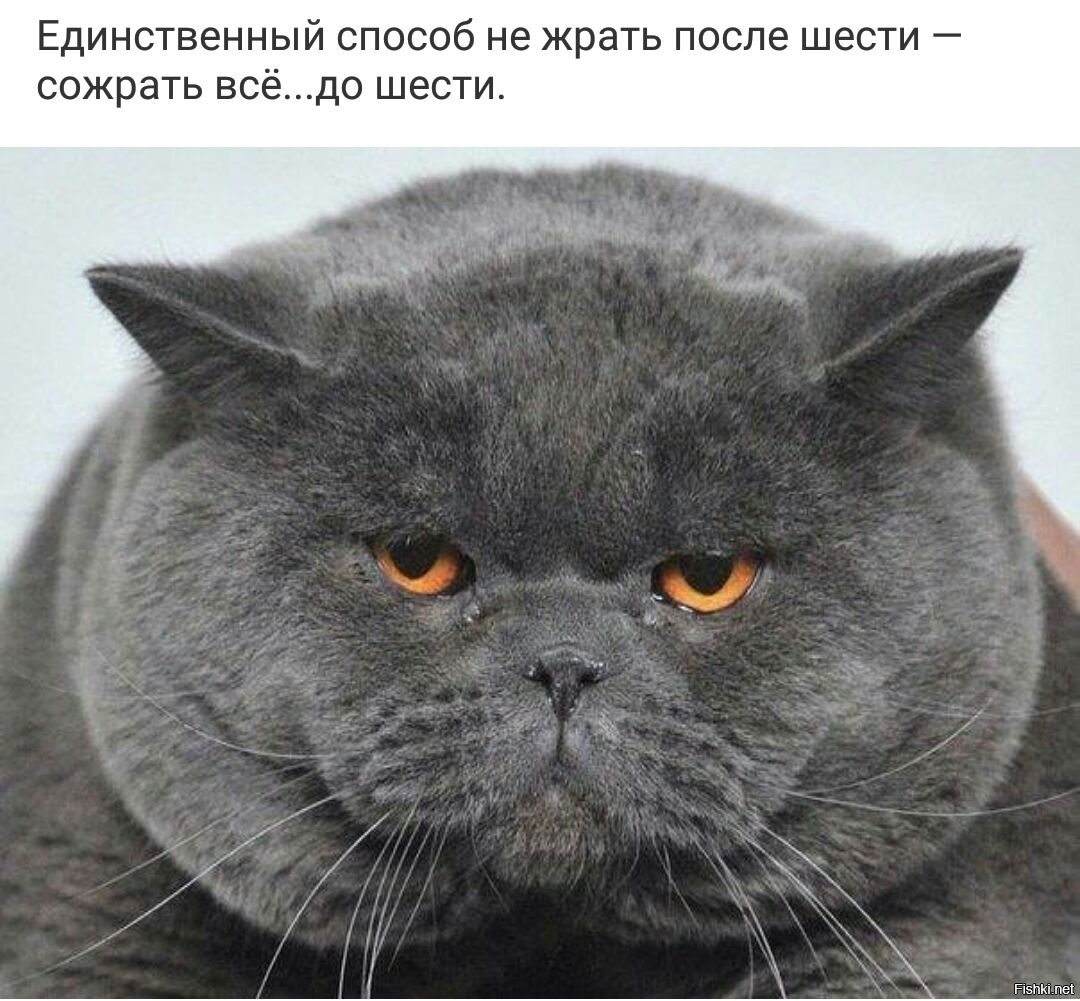 После шести