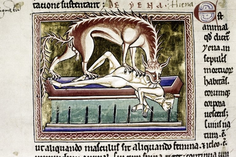 Как в средневековой Европе изображали животных, которых никогда не видели