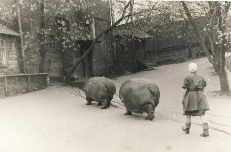 Солянка интересных фотографий  