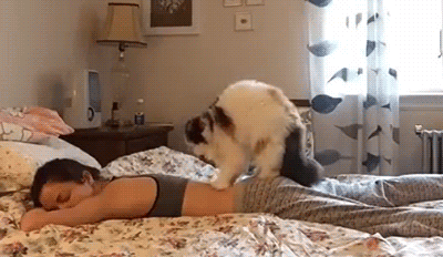 Домашний массажист