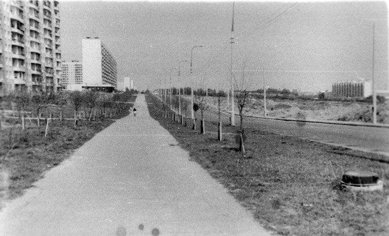 Чертанов, ул.Кировоградская 1974 года 