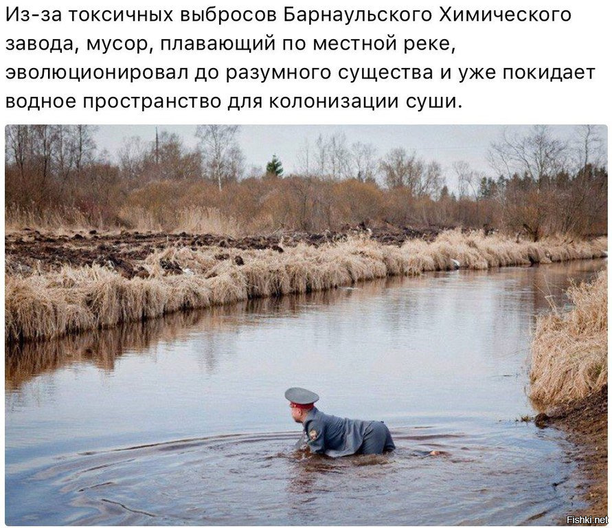 Приколы на реке