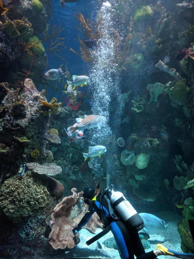 Красивая подводная жизнь