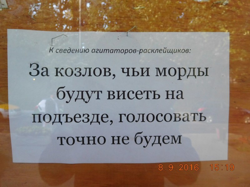 Смешные картинки с надписями