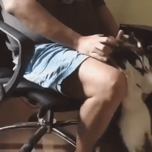 Когда попросил почесать за ушком