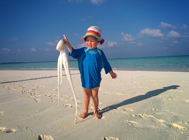 Генри держит кальмара на пляже на Мальдивах.