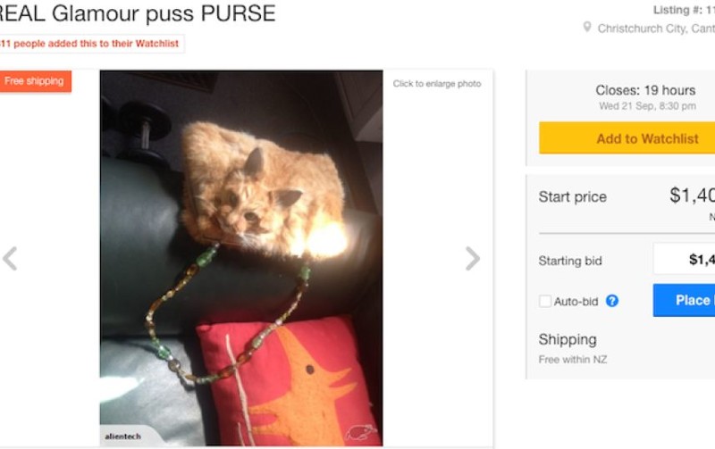 Таксидермист из Новой Зеландии выставила на аукцион женскую сумочку, сделанную из кошки