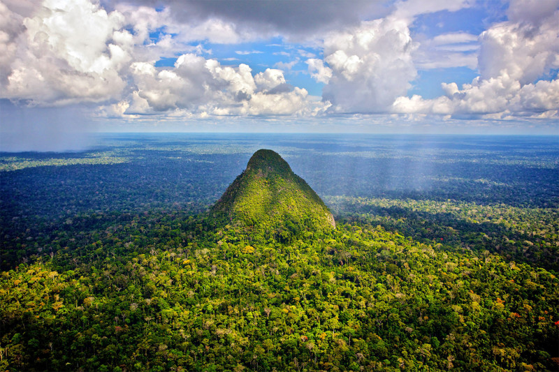 Дождевые леса Амазонии