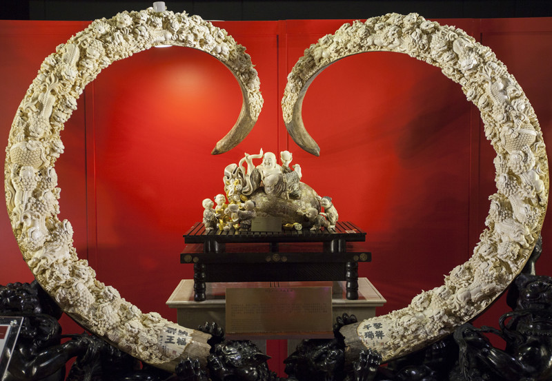 В Китае бивни мамонта стали статусным товаром, иллюстрирующим эффект Веблена: чем выше цена товара, тем выше на него спрос. Образцы резьбы по кости мамонта, как эти бивни на витрине в Гонконге, регулярно продаются более чем за 1 млн долларов.