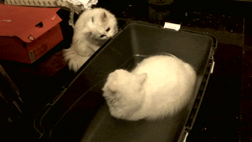 Знакомства не вышло