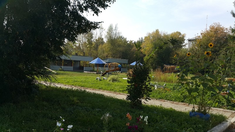 Апельсиновый садик или частный детский сад по Барнульски