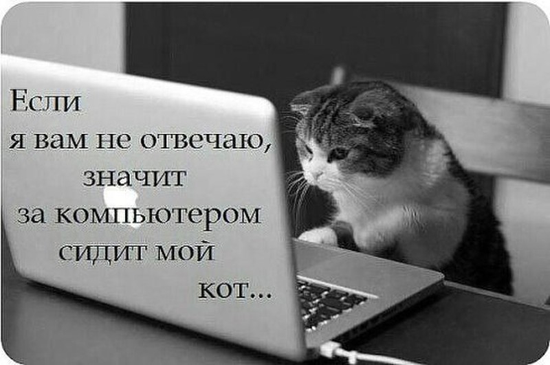 Картинка с надписью почему ты не отвечаешь