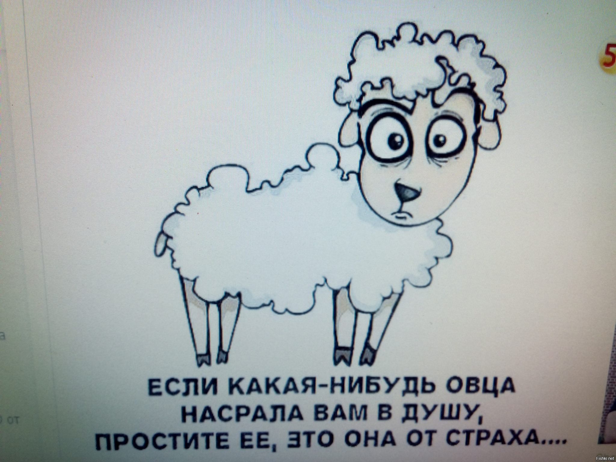 Овца на работе