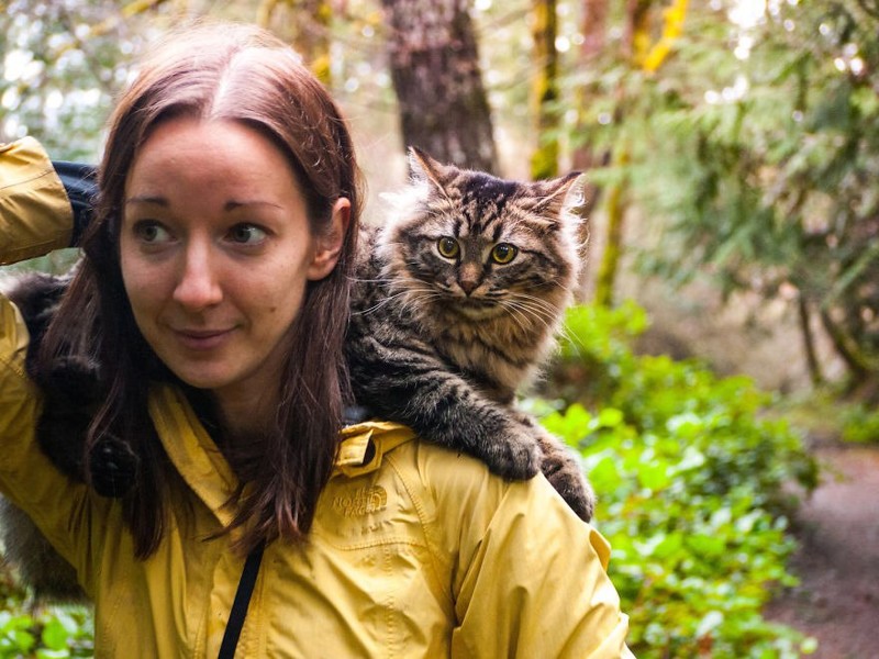 Собираясь в поход, девушки нашли двух выброшенных кошек