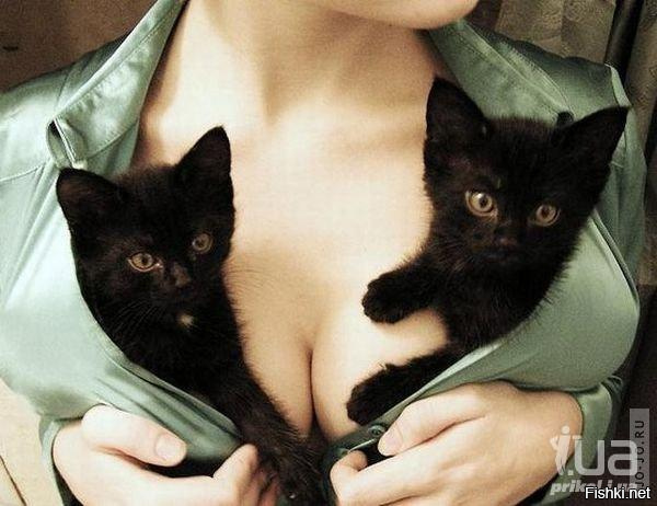 Playboy ashley mattingly nude