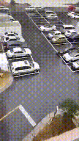 Забыл обед дома