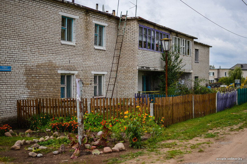 «Хочу возродить эту деревню». Китаец арендовал 120 гектаров земли под Раковом и стал белорусским фермером