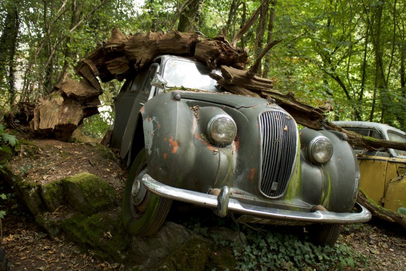 Гонщик собрал коллекцию автомобилей в немецком лесу