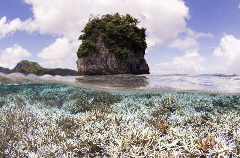 Остров Самоа: декабрь 2014 года