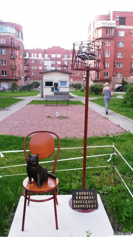 Памятник блокадной кошке в санкт петербурге