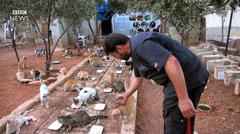 «Человек-кот из Алеппо» остался в разрушенном войной городе, чтобы ухаживать за домашними питомцами