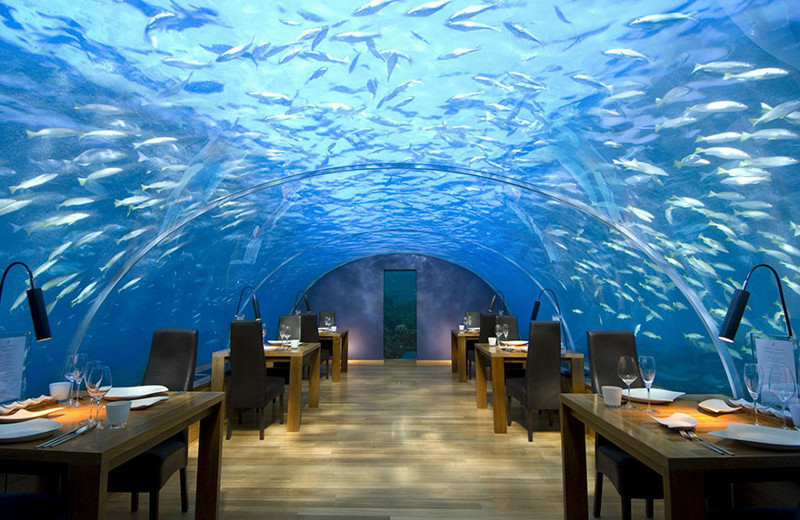 Ресторан на глубине 5 метров, Ithaa Undersea Restaurant, Мальдивы