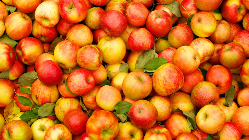 Белоруссия поставила в РФ в 2015 году в 5 раз больше яблок, чем вырастила