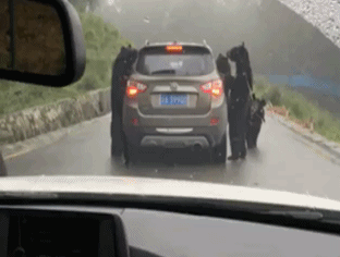 Проверка документов