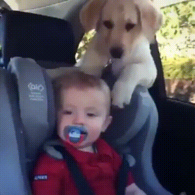 Малыш и его телохранитель